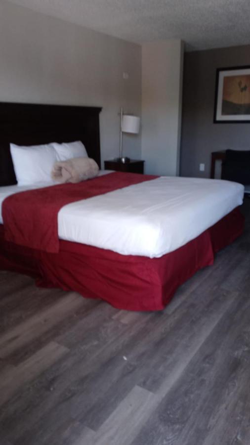 La Casa Inn New Port Richey Gulf Beach Us-19 Bagian luar foto